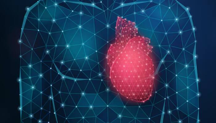 Breakthrough In Heart Regeneration: Scientists Discover New Way To Heal Failing Hearts