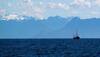 Japan, Philippines Strengthen Defence Cooperation To Counter China's Aggression