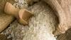 kharif rice production