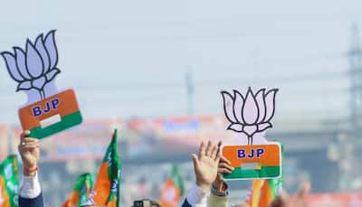 Ambala Nagar Nigam Chunav Result: Full List Of Winners And Mayoral Candidate