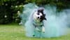 Holi 2025: Dos And Don’ts While Playing Holi With Pets