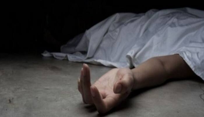 Mohali Scientist Dies After Assault by Neighbour Over Parking Dispute