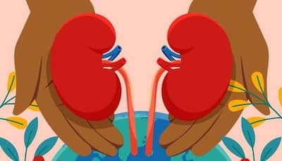 Exclusive: World Kidney Day 2025 - Connection Between Lifestyle And Kidney Function, Prevention And Early Detection Of Renal Disease