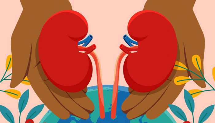 Exclusive: World Kidney Day 2025 - Connection Between Lifestyle And Kidney Function, Prevention And Early Detection Of Renal Disease