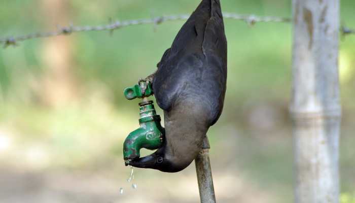 March Mayhem: Mercury Soars To 40 Degrees Celsius At Eight Places In Odisha March Mayhem: Mercury Soars To 40 Degrees Celsius At Eight Places In Odisha