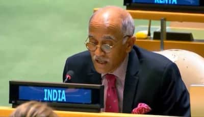 'Frequent References Will Not Validate Their Claim': India Again Rains Fire On Pakistan Over Kashmir Issue At UN