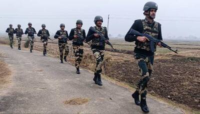BSF Foils Arms Smuggling Bid Along Punjab Border, 2 Indians Held With Ammunition