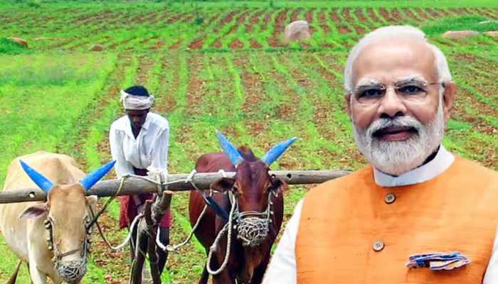 PM Kisan Yojana: Want To Update Your Mobile Number? Here's How To Do It Without Aadhaar Card– Check Steps PM Kisan Yojana: Want To Update Your Mobile Number? Here's How To Do It Without Aadhaar Card– Check Steps
