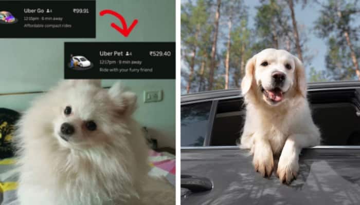 Gurugram Woman Claims Uber Pets Costs 5 Times More Than Regular Rides In Viral Post—Sparks Debate Online