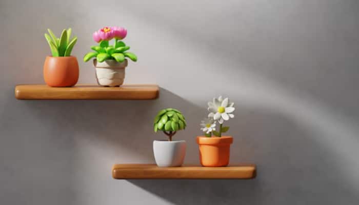 Top 4 Wall Shelves for Chic and Functional Home Decor