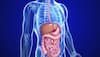 From Covid To Probiotics, Researchers Reveal Changes In Gut Microbiota