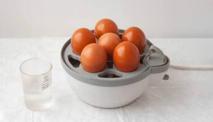 Top Egg Boiler Offers to Help You Save and Savor