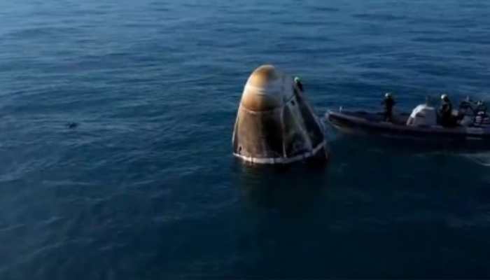 Welcome Home Sunita Williams: Dolphins Greet Astronaut As She Returns Home After Space Mission — WATCH Welcome Home Sunita Williams: Dolphins Greet Astronaut As She Returns Home After Space Mission — WATCH