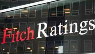 India’s Large Domestic Market To Cushion Blow From US Tariff Hike: Fitch 