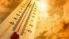 ‘Include Heatwaves In Disaster Management Plans’: Parliamentary Panel Tells Centre