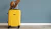 Shop these Best Travel Trolley Bags for Every Journey