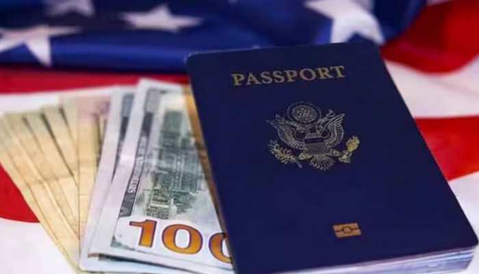 H-1B Visa Applications To Be Deleted From March 20: What Applicants Need To Know