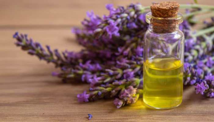 How Lavender Oil Balances Emotions And Strengthens Romantic Connections?