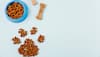 Shop these Best Dog Food for a Healthy and Happy Pet