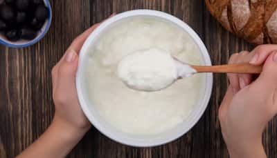 7 Superfoods That Have More Probiotics Than Curd – Boost Your Gut Health Naturally!