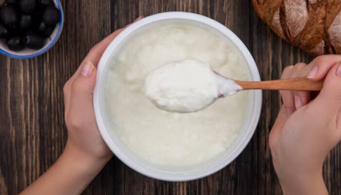 7 Superfoods That Have More Probiotics Than Curd – Boost Your Gut Health Naturally!