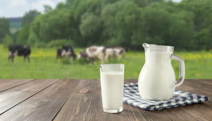 Delhi- NCR Woman Dies Of Rabies After Drinking Cow Milk Within Days- Know Key Symptoms, Precautions To Stay Safe