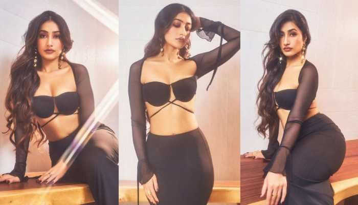 Dhanashree Verma's Net Worth Increase Post-Divorce With Punjab Kings Spinner Yuzvendra Chahal Ahead Of IPL 2025 - In Pics