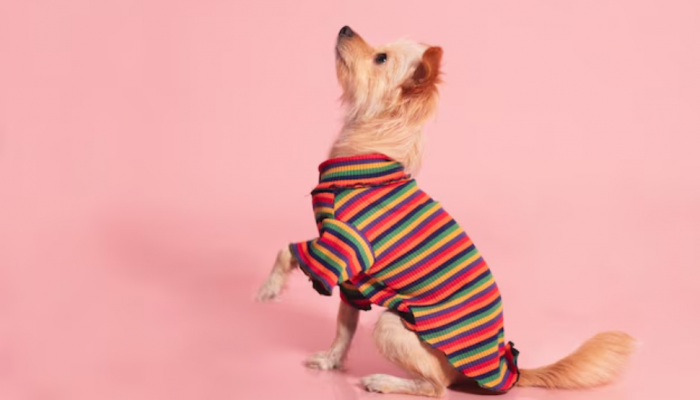 Shop these Stylish and Trendy Apparel for Your Furry Friends Shop these Stylish and Trendy Apparel for Your Furry Friends