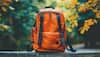 Trendy School Bags