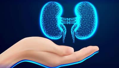 Kidney Health In Your 20s: Why You Should Start Caring Now ? Know From Expert