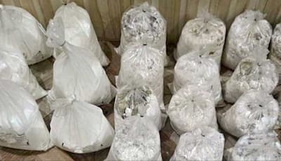 Maharashtra Drug Bust: 2 Held With Rs 50 Crore Mephedrone In Mumbai, Lab Busted In Raigad