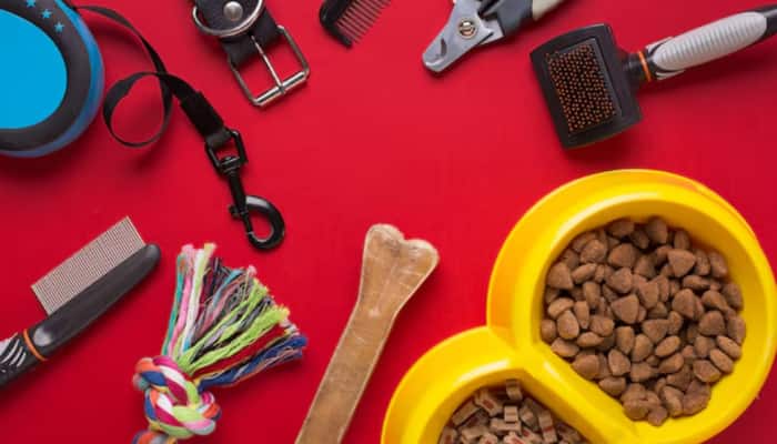 Shop these Best Pet Grooming Products for Healthy and Happy Pets