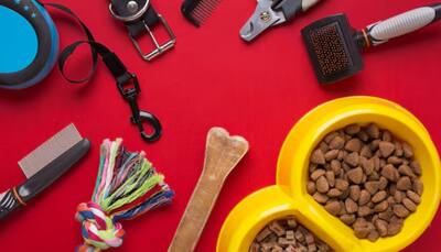 Shop these Best Pet Grooming Products for Healthy and Happy Pets