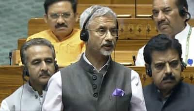 Treatment Of Minorities In Pakistan Taken Up At International Level: Jaishankar Tells Lok Sabha