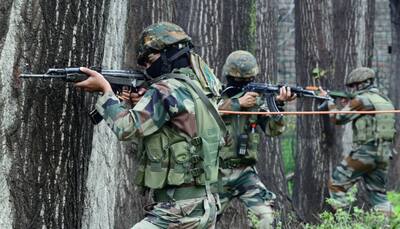 Pakistani Troops Intruded Into Indian Side, Violated Ceasefire Along LoC In J-K's Poonch: Defence Spokesperson