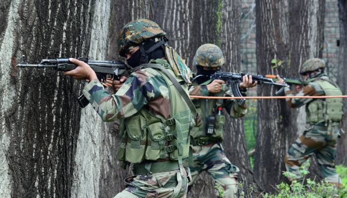 Pakistani Troops Intruded Into Indian Side, Violated Ceasefire Along LoC In J-K's Poonch: Defence Spokesperson