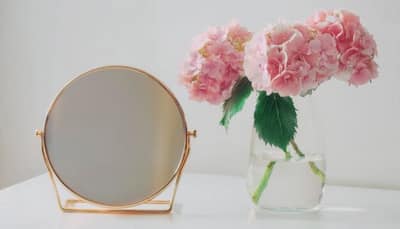 Top 4 Tabletop Mirrors to Elevate Your Vanity: Myntra Fashion Carnival