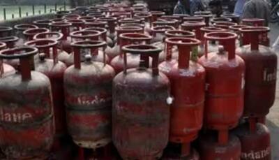 Over 10.3 Crore Poor Families Getting LPG At Subsidised Price: Minister