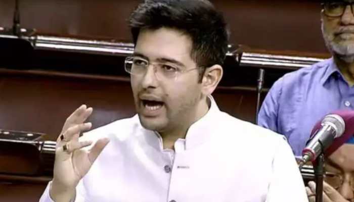 Raghav Chadha Criticises Centre Over US Tariffs, Urges Caution On Starlink Entry