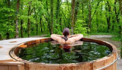 Japanese Techniques To Detox Your Mind: Embracing Harmony And Balance
