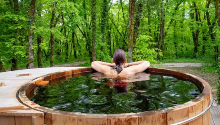 Japanese Techniques To Detox Your Mind: Embracing Harmony And Balance
