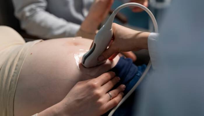 World Health Day 2025: Over 700 Women Died Daily From Preventable Maternal Causes In 2023, Says WHO Report