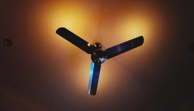 Cool in Style: Best Ceiling Fan that Elevates Every Room
