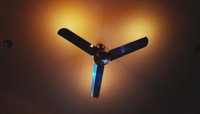Cool in Style: Best Ceiling Fan that Elevates Every Room Cool in Style: Best Ceiling Fan that Elevates Every Room