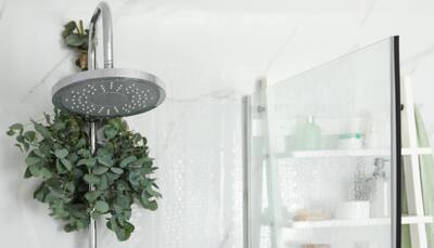 Upgrade Your Shower: A Guide to Buying the Perfect Shower Head
