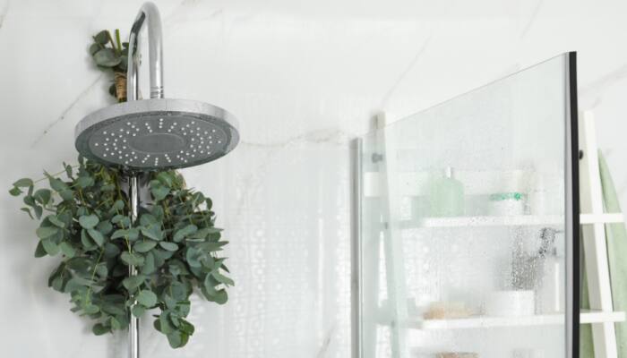 Upgrade Your Shower: A Guide to Buying the Perfect Shower Head