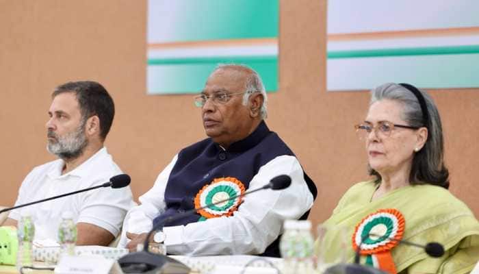 84th National Convention Of AICC: Congress Deliberates On Ways To Regain Ground
