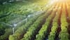 Govt Approves Modernisation Of Irrigation Scheme Under PMKSY With Rs 1,600 Cr Outlay For FY26 