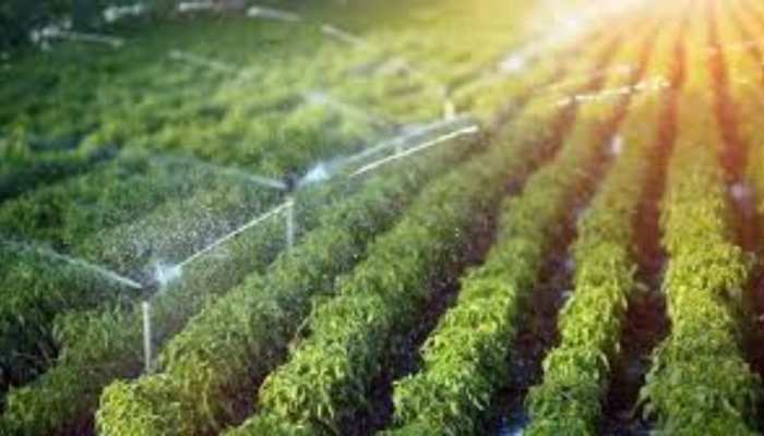 Govt Approves Modernisation Of Irrigation Scheme Under PMKSY With Rs 1,600 Cr Outlay For FY26 Govt Approves Modernisation Of Irrigation Scheme Under PMKSY With Rs 1,600 Cr Outlay For FY26
