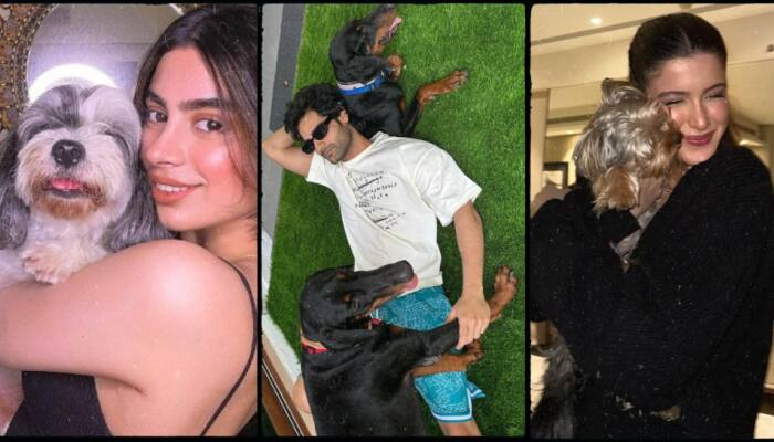 Celebrity Pet Moments That Won The Internet